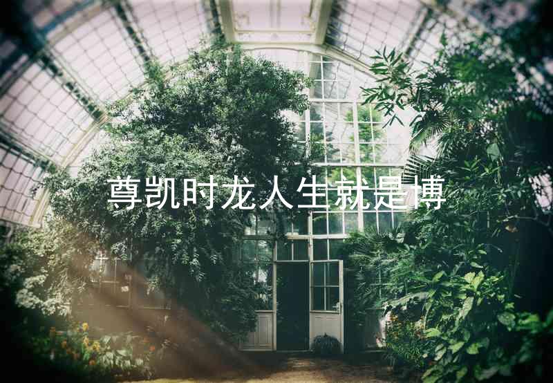 尊凯时龙人生就是博